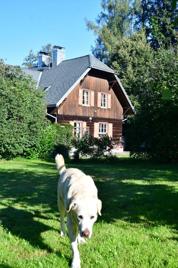 Naturforsthaus Ferienwohnung Fuer Hunde- Und Tierverbundene Menschen Preitenegg Ngoại thất bức ảnh